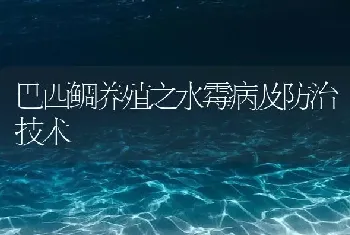 巴西鲷养殖之水霉病及防治技术