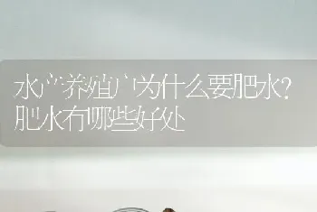 水产养殖户为什么要肥水?肥水有哪些好处