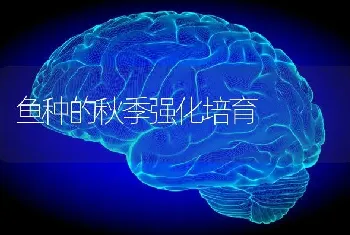 鱼种的秋季强化培育