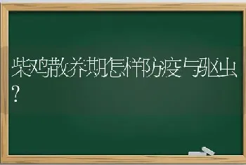 柴鸡散养期怎样防疫与驱虫?