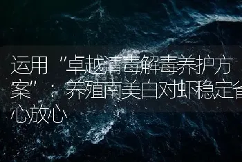 运用“卓越清毒解毒养护方案”：养殖南美白对虾稳定省心放心