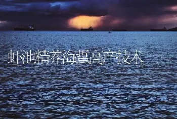 虾池精养海蜇高产技术