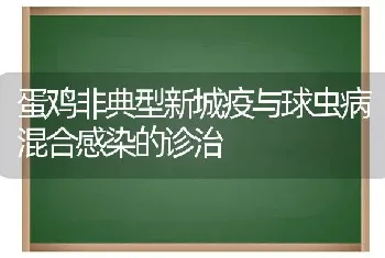 蛋鸡非典型新城疫与球虫病混合感染的诊治