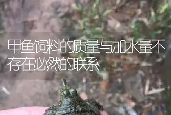 甲鱼饲料的质量与加水量不存在必然的联系