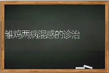 雏鸡两病混感的诊治