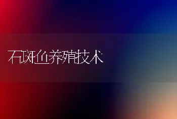 怎么能减少鸡呼吸道病的发病率