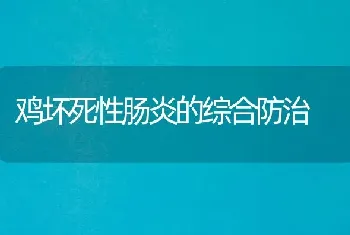 鸡坏死性肠炎的综合防治