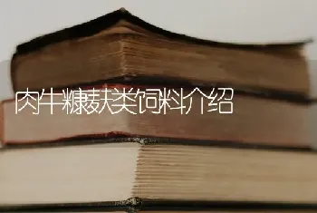 肉牛糠麸类饲料介绍