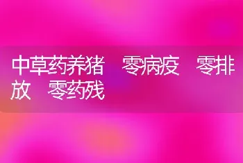 中草药养猪 零病疫 零排放 零药残