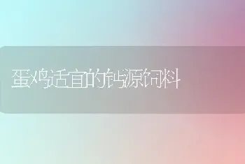 蛋鸡适宜的钙源饲料