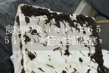 食疗偏方水蛭治疗肺栓塞