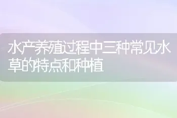 水产养殖过程中三种常见水草的特点和种植