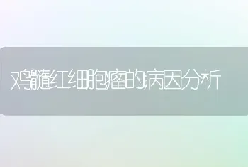 鸡髓红细胞瘤的病因分析