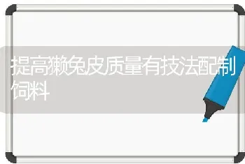 提高獭兔皮质量有技法配制饲料