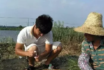 如何预防池塘严重缺氧和亚硝酸盐偏高的情况发生