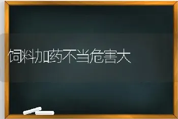 饲料加药不当危害大