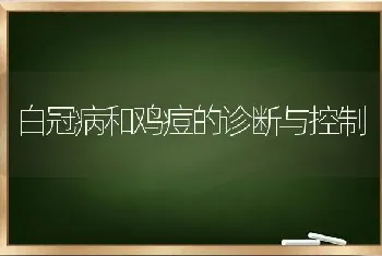 白冠病和鸡痘的诊断与控制