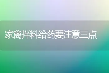 家禽拌料给药要注意三点