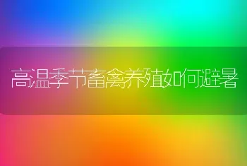 高温季节畜禽养殖如何避暑