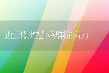 近期要增强鸡群抗病力