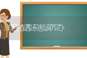 冬季蛋禽要提高饲料标准