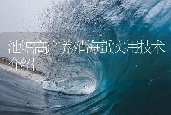 池塘高产养殖海蜇实用技术介绍