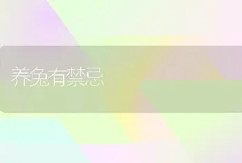 养兔有禁忌