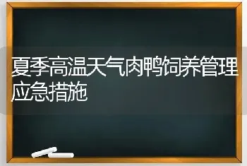 夏季高温天气肉鸭饲养管理应急措施