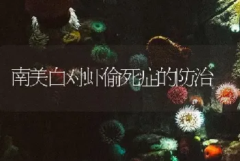 南美白对虾偷死症的防治