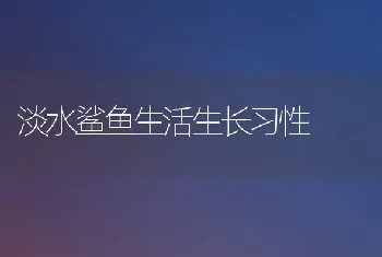 淡水鲨鱼生活生长习性