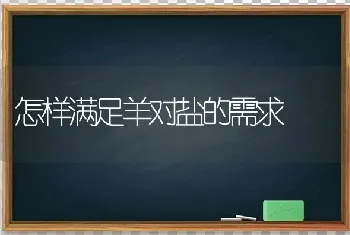 怎样满足羊对盐的需求