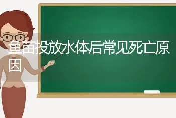 鱼苗投放水体后常见死亡原因