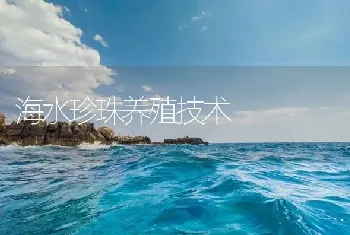 海水珍珠养殖技术