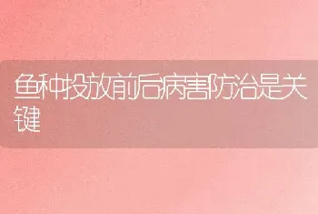 鱼种投放前后病害防治是关键