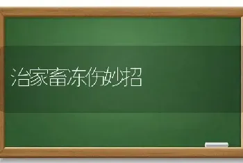 治家畜冻伤妙招