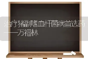 治疗猪副嗜血杆菌病首选药——万福林