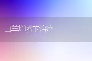 山羊烂嘴的治疗