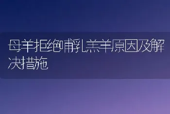 母羊拒绝哺乳羔羊原因及解决措施