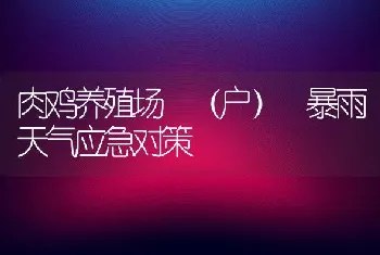 肉鸡养殖场 (户) 暴雨天气应急对策