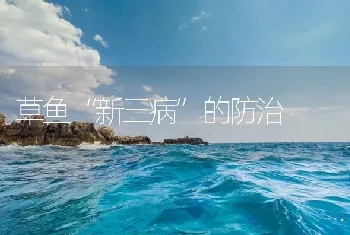 草鱼“新三病”的防治