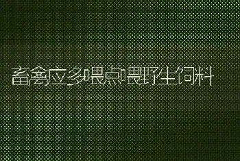 畜禽应多喂点喂野生饲料