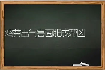 鸡粪出气害菌肥成帮凶