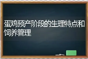 蛋鸡预产阶段的生理特点和饲养管理