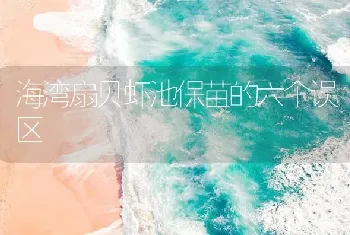 海湾扇贝虾池保苗的六个误区