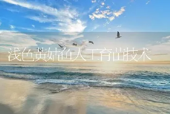 浅色黄姑鱼人工育苗技术