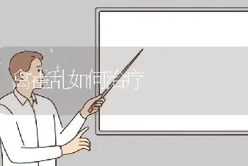 禽霍乱如何治疗