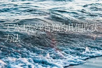 无公害锯缘青蟹的其他收获方法