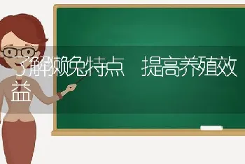 了解獭兔特点　提高养殖效益