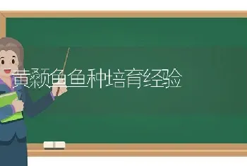 黄颡鱼鱼种培育经验