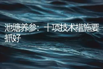 池塘养参：十项技术措施要抓好